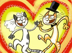 кошачья свадьба