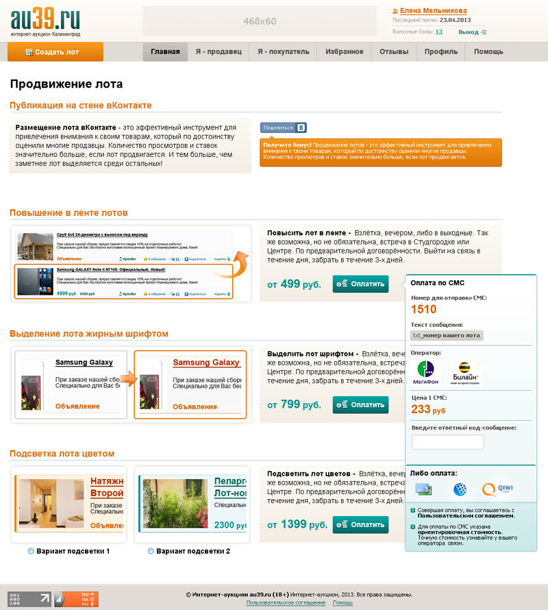 au39_prodvinut-lot1.jpg