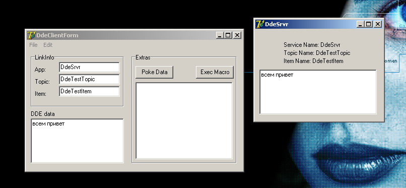 DDE Client & DDE Server.jpg
