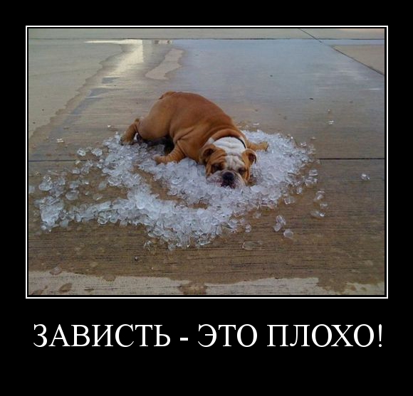 Смешные картинки про лето и жару