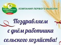 Поздравительный плакат