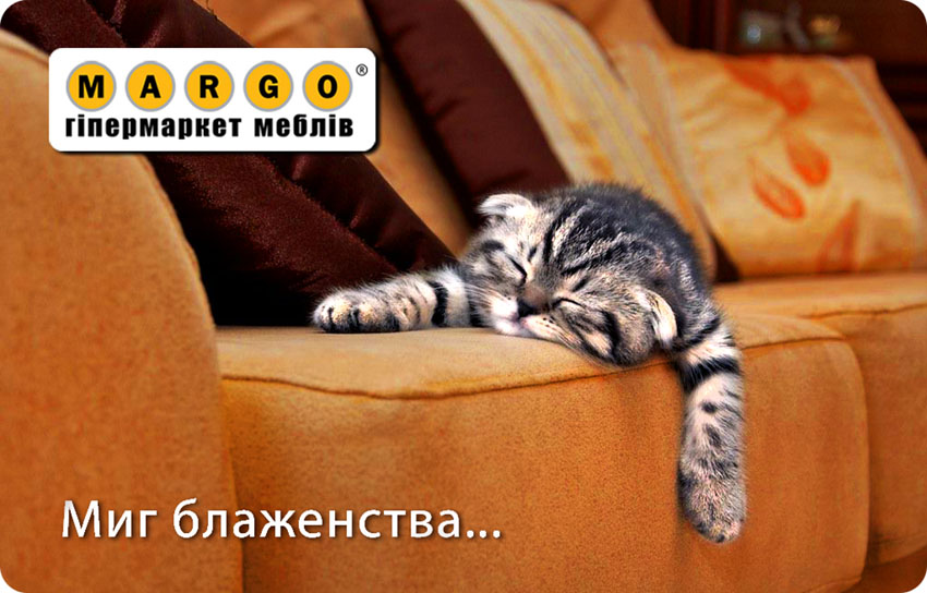 Кот миг блаженства.jpg