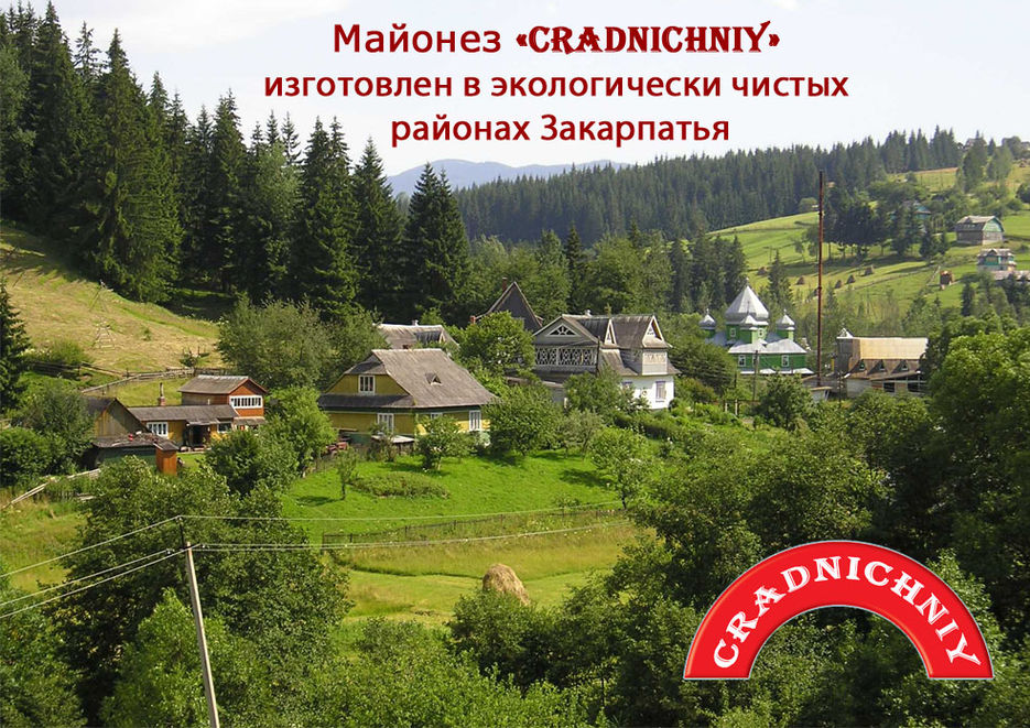 презентация 2.jpg