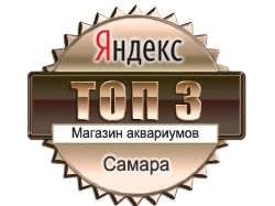 Яндекс ТОП-3