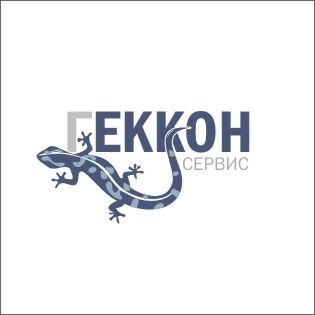 гекКон-4.jpg