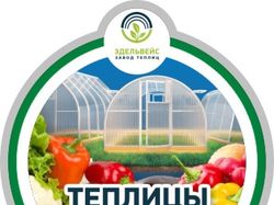Теплицы-1