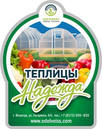 Надежда-3.jpg
