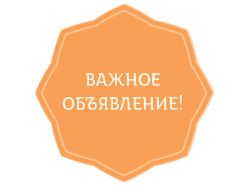 монета