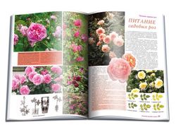 Журнал "Нескучный сад"