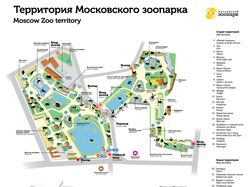 Макет карты Московского зоопарка