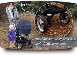 Баннер Teutonia