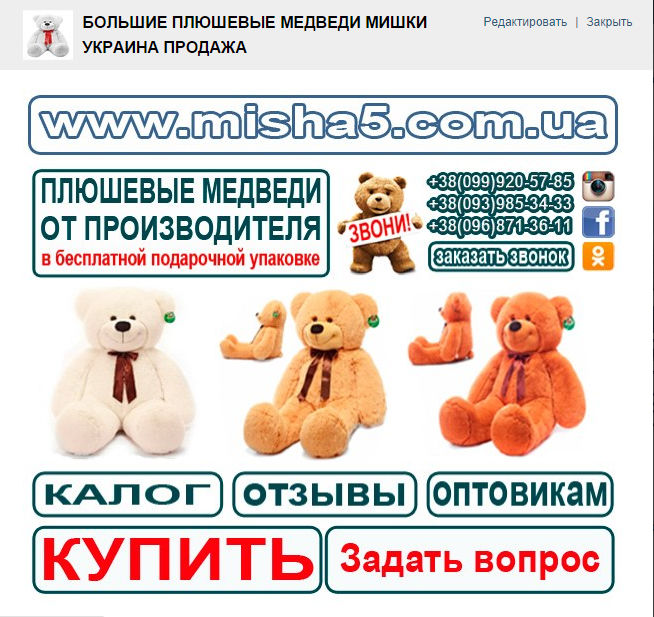 миша 2.jpg