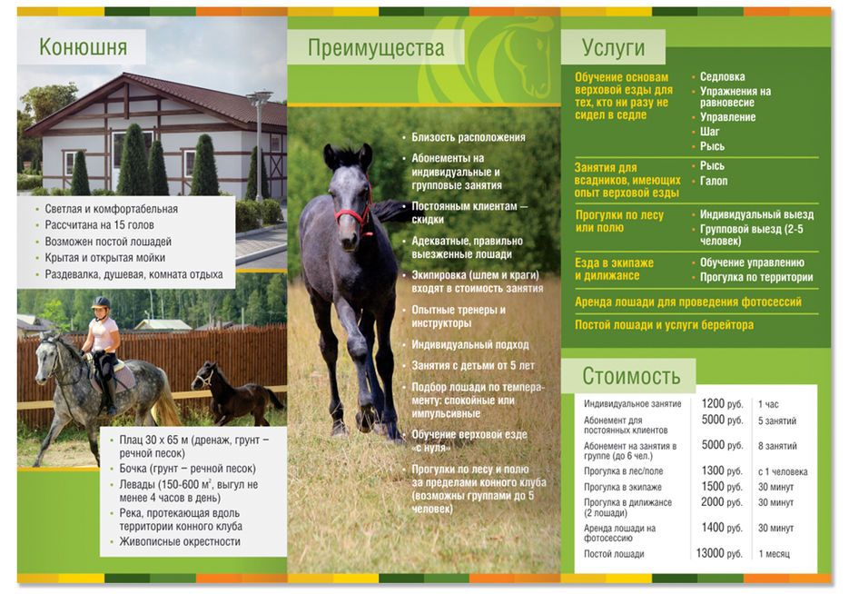 Horses_booklet.cdr_2.jpg