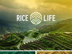 Rice Life