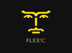 FLEX1C