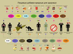 Инфографика "Вредные пищевые добавки"