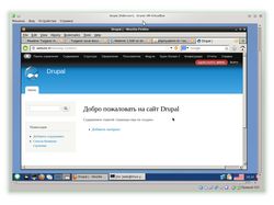 Виртуальная машина Turganix Web-AM