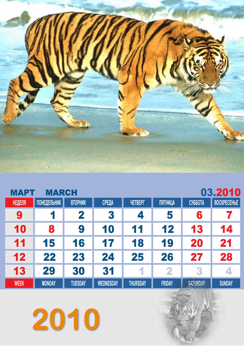 Годы после тигра. Календарь год тигра. Следующий год тигра. Когда будет год тигра. Год тигра по годам таблица.