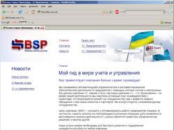 BSP - Business Service Provider