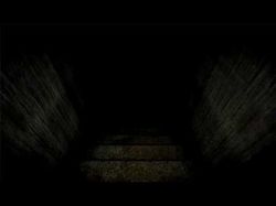 In The Cellar
