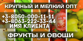 Визитка-овощи-опт.png