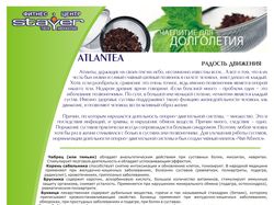 Один из листов каталога чая