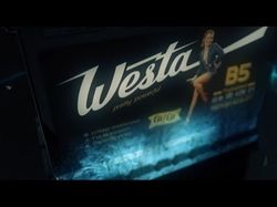 Ролик для компании Westa "под ключ"