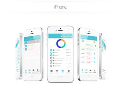 TIM connect.  Приложение для работы с банковскими