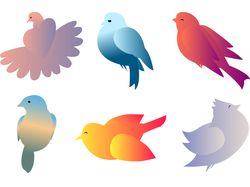 birds gradient