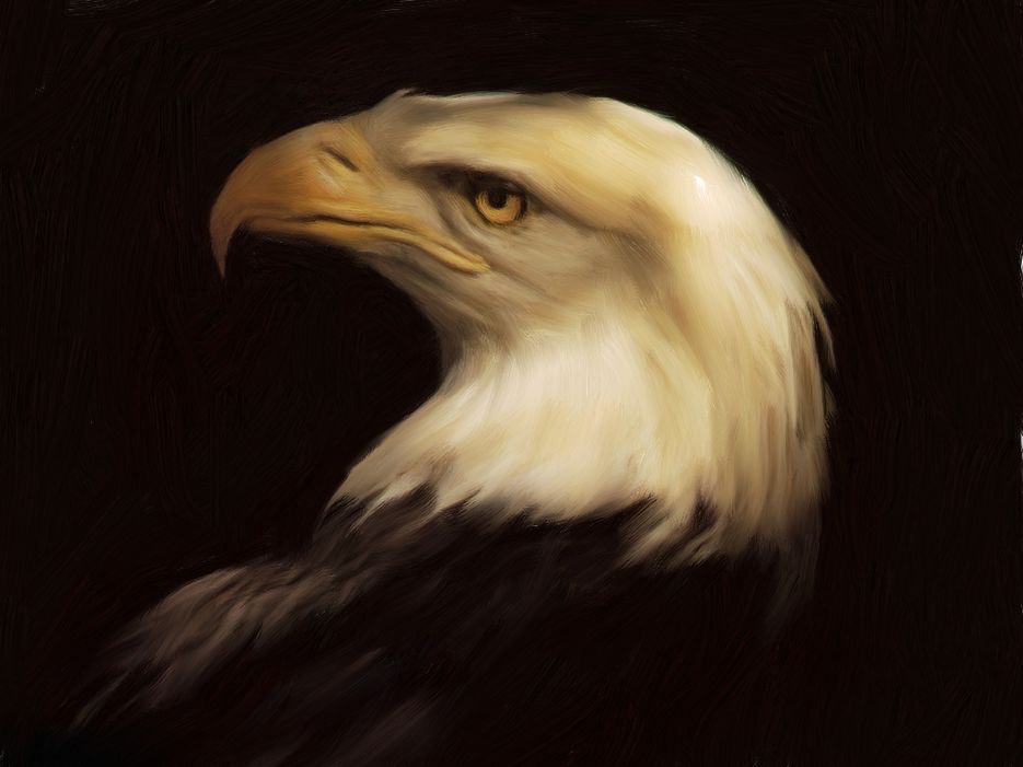 Eagle.jpg
