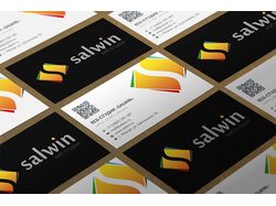 Дизайн визитки для веб-студии "Salwin"
