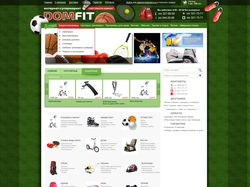 Интернет-магазин спортивных товаров «Domfit»