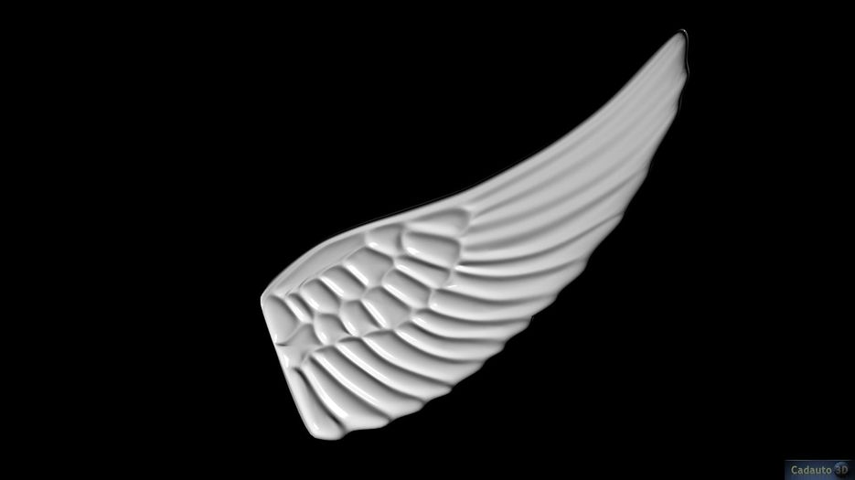 1 — копия.jpg