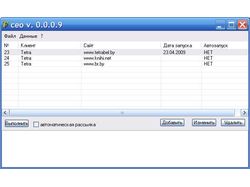 CEO. Анализ позиции сайта.