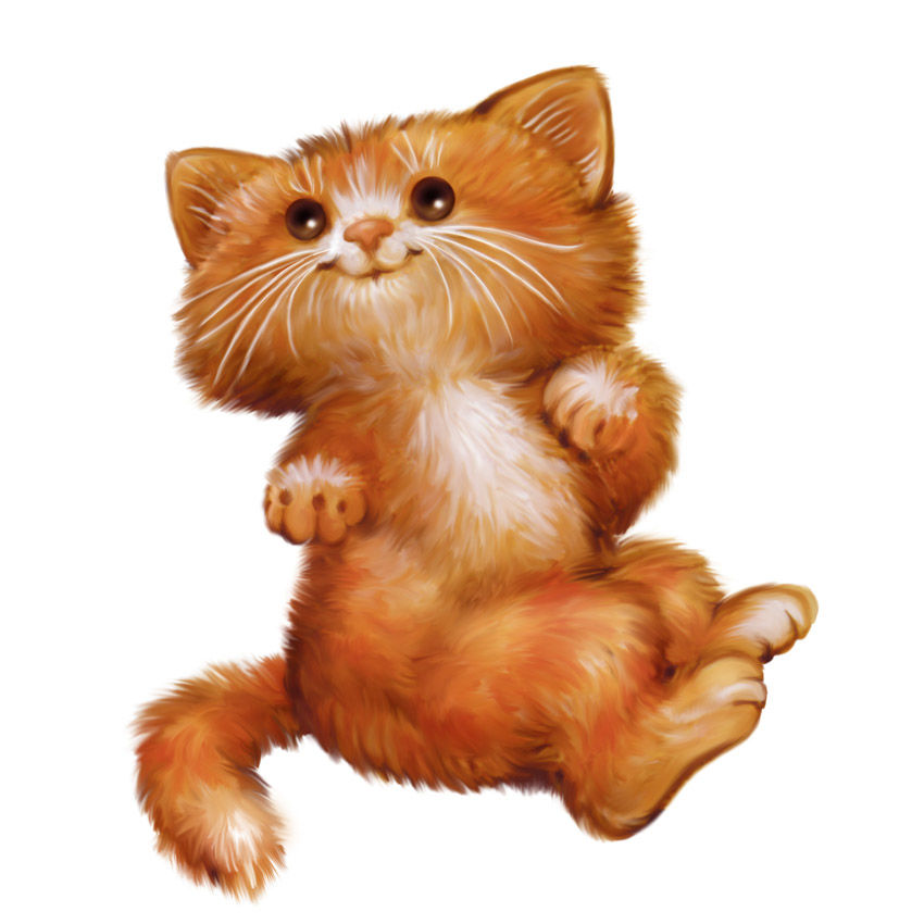 kitten.jpg