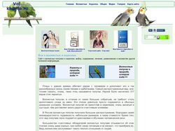 Сайт о попугаях
