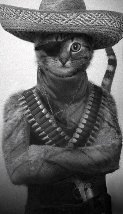 desperado kote copy.jpg