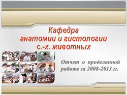 Презентация к докладу