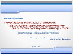 Презентация к докладу