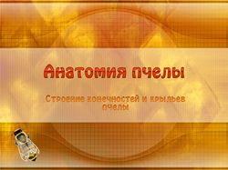 Презентация к занятию
