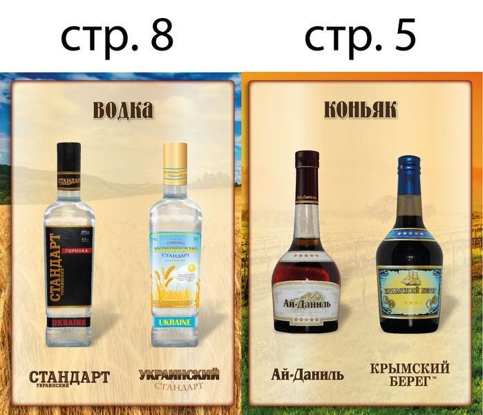 презентер А5 РФ 08_05__06_07+-01.jpg