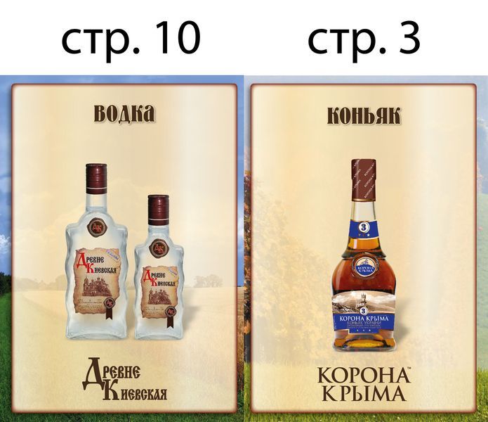 презентер А5 РФ 10_03__04_09+-01.jpg