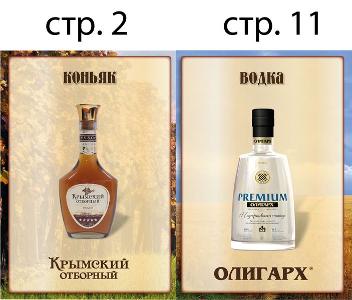 презентер А5 РФ 12_01__02_11+-02.jpg