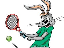 Заяц тенисист