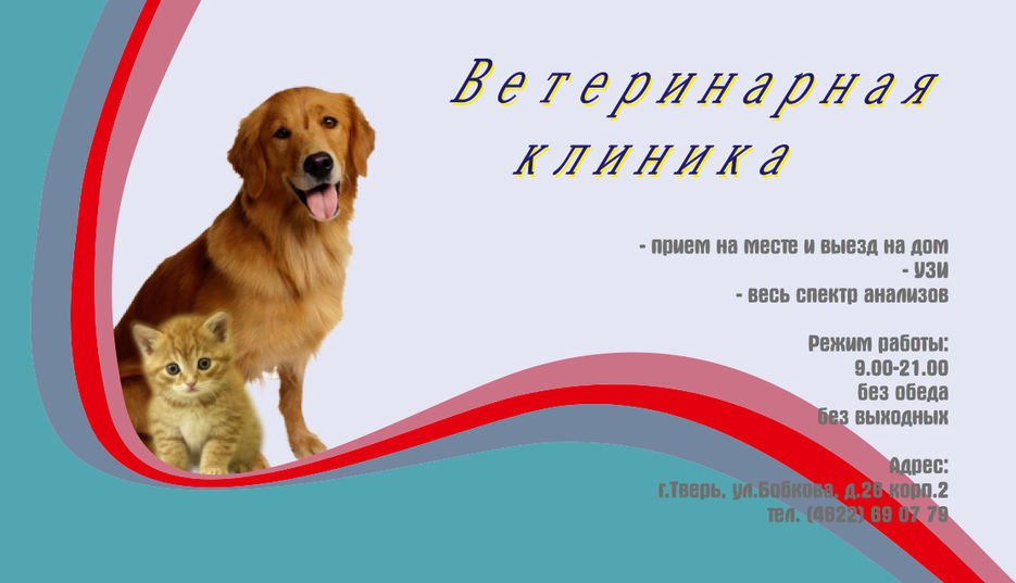 визиткаВет.jpg