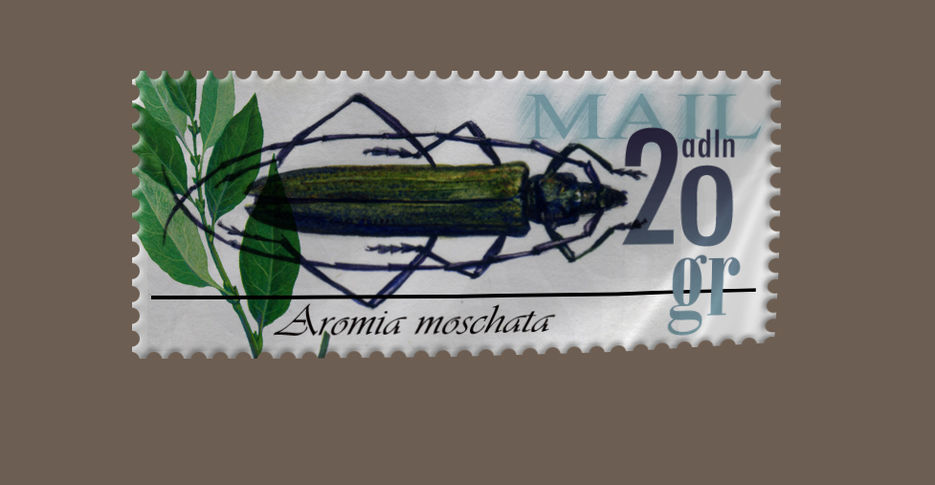 марка copy.jpg