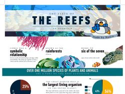 Инфографика про рифы и кораллы