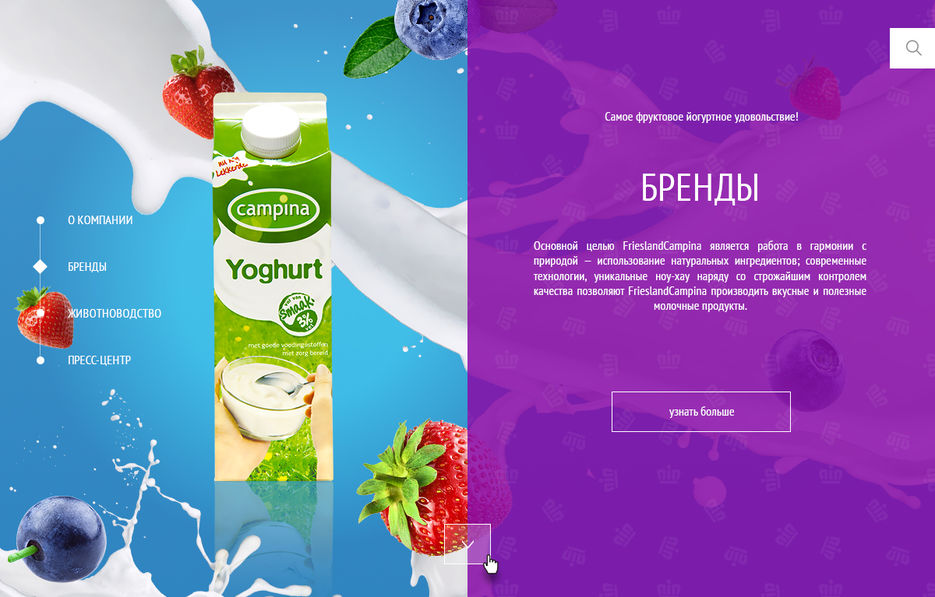 www-campina-ru  - бренды.jpg