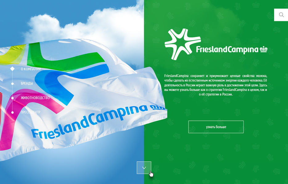 www-campina-ru  - о компании.jpg