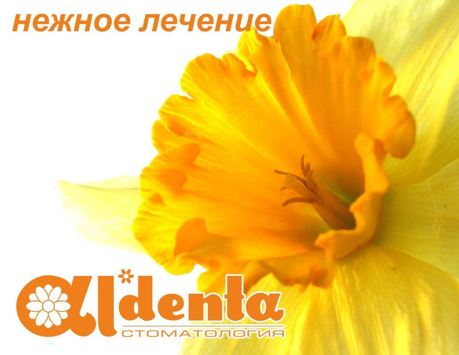 DENTA_AL`denta_Concept1.jpg